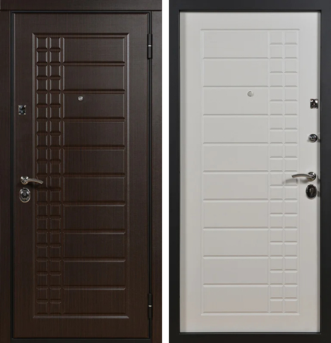 Металлическая дверь в частный дом №1