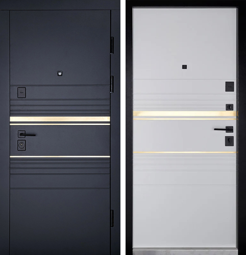 Черная железная дверь №124