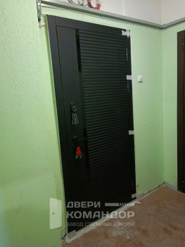 Входная дверь MXM-3  Феррони