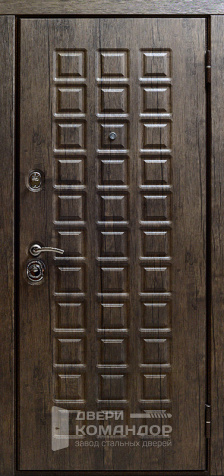 Входная дверь в загородный дом №63 - наружная сторона