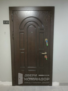 Входная дверь шпон / змаль, с окраской металла в два цвета, на заказ