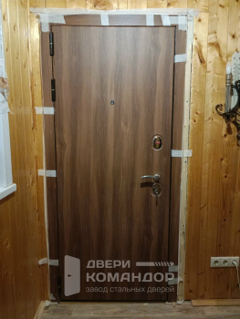 Входная дверь ЭЛ-409