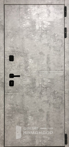 Дверь металлическая внутренняя №86 - наружная сторона