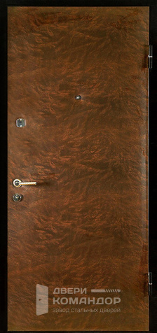 Металлическая дверь на дачу №6 - наружная сторона