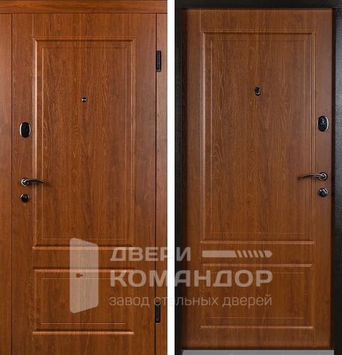 Железная дверь входная на дачу №51