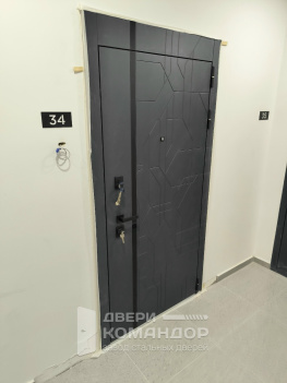 Входная железная дверь Forest АСД в квартиру
