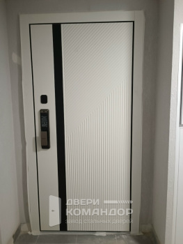 Входная дверь Stardis Expert  с биометрическим замком Samsung