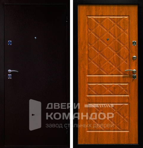 Металлическая дверь с коробкой №42