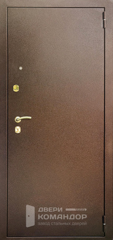 Входная дверь в хрущевку №33 - наружная сторона