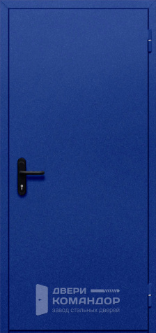 Глухая противопожарная дверь синяя №3 - наружная сторона