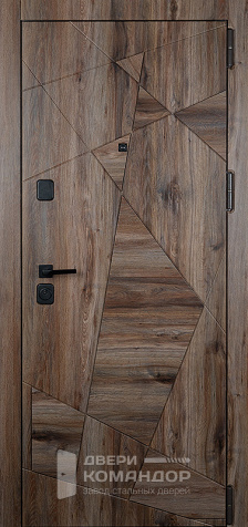 Железная металлическая дверь под дерево №4 - наружная сторона